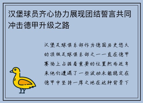 汉堡球员齐心协力展现团结誓言共同冲击德甲升级之路