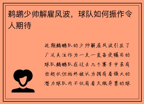 鹈鹕少帅解雇风波，球队如何振作令人期待