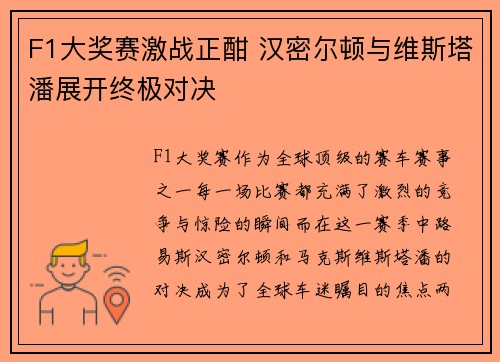 F1大奖赛激战正酣 汉密尔顿与维斯塔潘展开终极对决